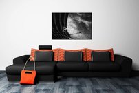 Lamborghini - AM 0140