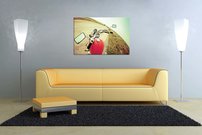 Červená motorka - AM 0166