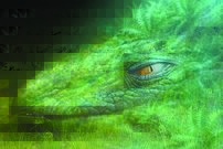 Tapeta Morská príšera - AN 0010