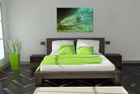 Morská príšera - AN 0010