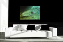 Morská príšera - AN 0010