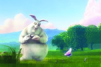 Tapeta Zajac - AN 0027