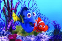 Tapeta Nemo - AN 0077