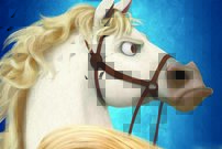 Tapeta Kôň - AN 0085