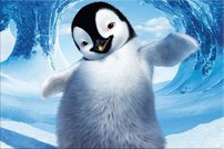Tapeta Happy Feet - AN 0095