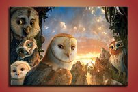 Soví strážcovia - AN 0109