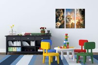 Soví strážcovia - AN 0109