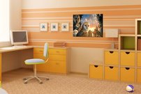 Soví strážcovia - AN 0109