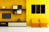 Kocúr v čižmách - AN 0117