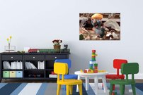 Ratatouille - AN 0123