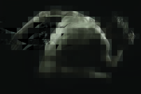 Tapeta Akt - AT 0013