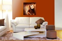 Červené vlasy - AT 0021