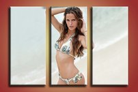 obraz goulart izabel 2