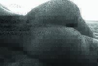 Tapeta Akt - AT 0068