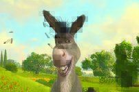 Tapeta Oslík - AN 0093