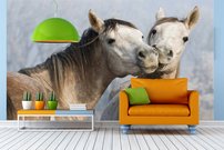 Tapeta Koníky - ZR 0056