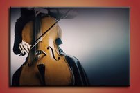 Violončelo - HT 0030