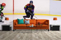 Ľadový Hokej interier - 2
