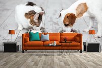 fototapeta na stenu pes a macka jedia jedlo 2