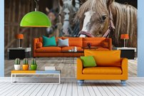 Tapeta Kone - ZR 0060