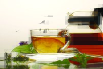 Tapeta Čaj - JN 0060