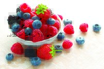 Tapeta Lesné plody - JN 0062