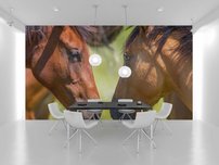 fototapeta kone interier 1