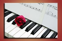 Červená ruža - KV 0034