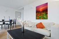 Lúčne margarétky - KV 0047