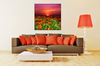 Lúčne margarétky - KV 0047