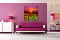 Lúčne margarétky - KV 0047