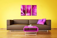 obraz na stenu ruzovy kvet KV 3