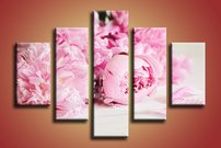 Ružové kvety - KV 0069