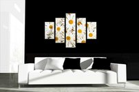 Margarétky - KV 0071