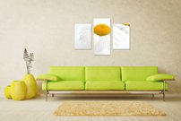 Margarétka - KV 0072