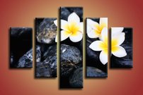 Biele kvietky- KV 0077