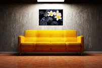 Biele kvietky- KV 0077