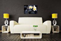 Biele kvietky- KV 0077