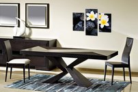 Biele kvietky- KV 0077