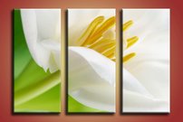 obraz na stenu biely kvet KV 2