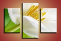 obraz na stenu biely kvet KV 3