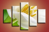 obraz na stenu biely kvet KV 4