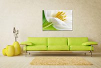 obraz na stenu biely kvet KV 5