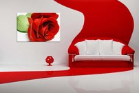 Červená ruža - KV 0084