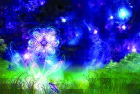 Tapeta Magický kvet - KV 0087