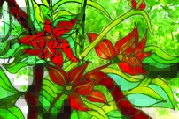 Tapeta Vytráž - KV 0088