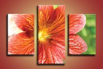 obrazok na stenu oranzovy kvietok KV 2