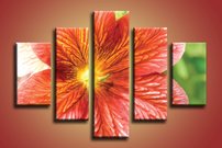 obrazok na stenu oranzovy kvietok KV 3