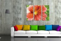 obrazok na stenu oranzovy kvietok KV 4