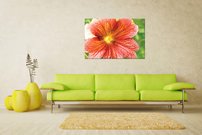 obrazok na stenu oranzovy kvietok KV 5